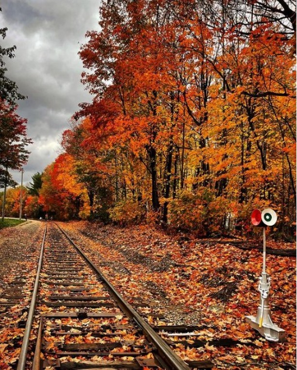 The Winnipesaukee Scenic Railroad