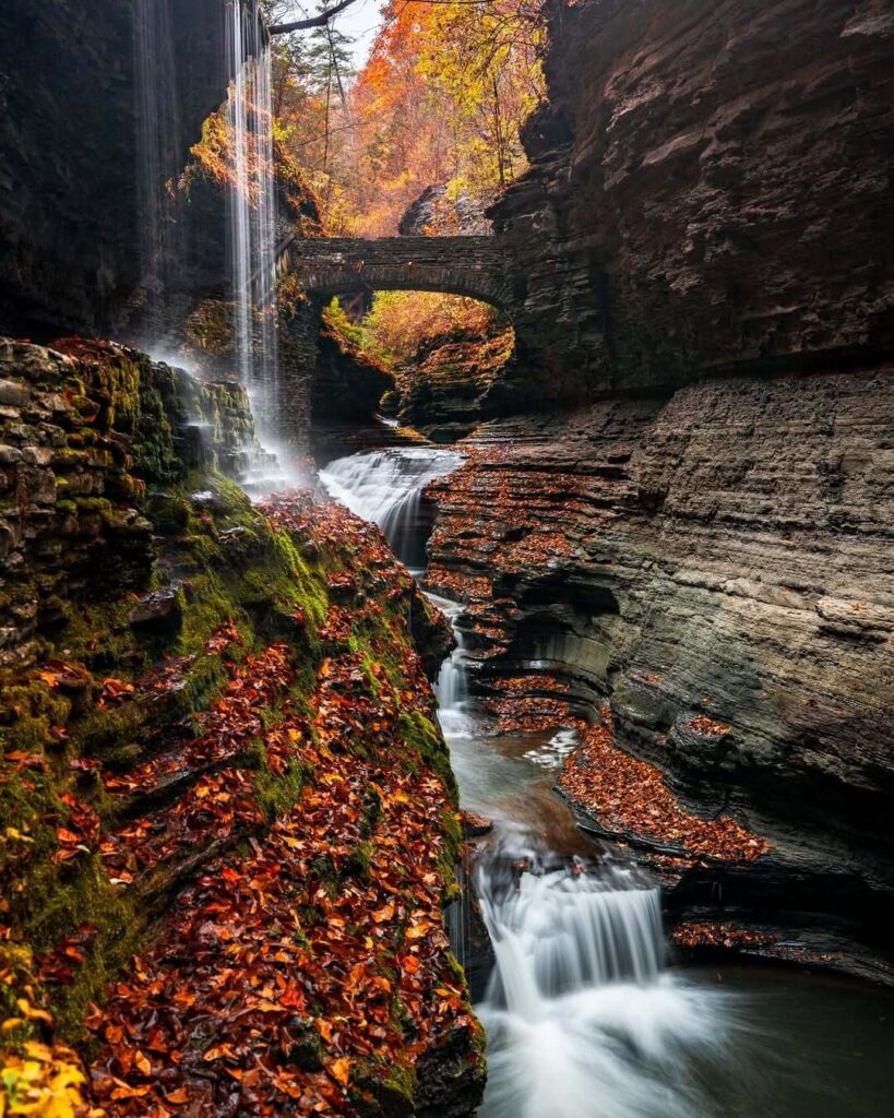 Watkins Glen State Park