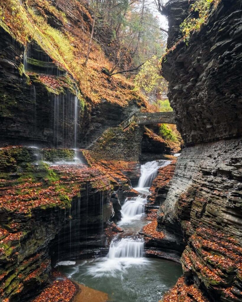 Watkins Glen State Park