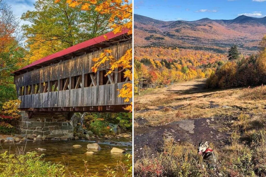 White Mountains in Fall