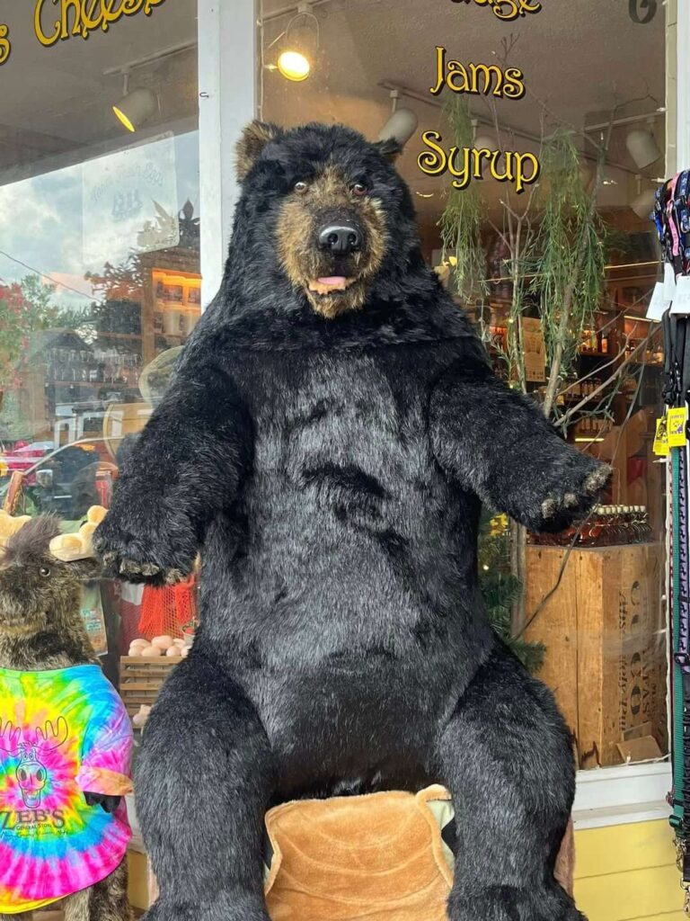 Zeb's General Store, North Conway, NH