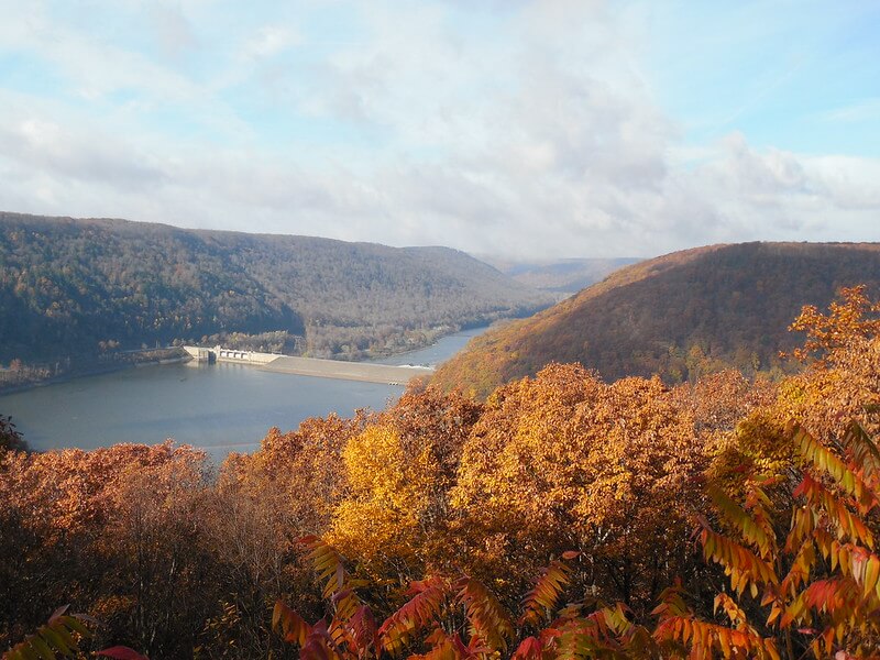 Allegheny National Forest