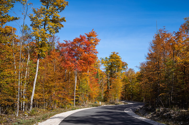 Autumn Road, Door County, Wisconsin