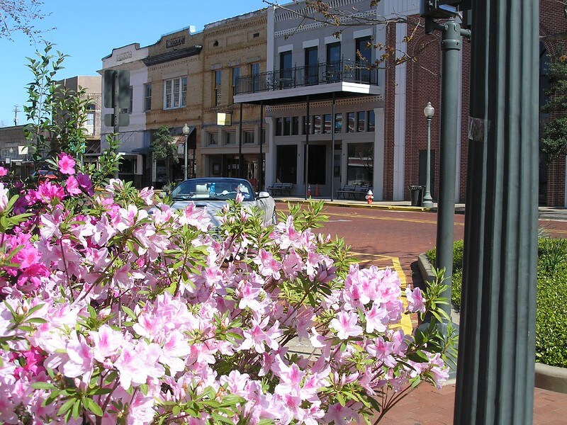 Azalea trail - Nacogdoches Texas