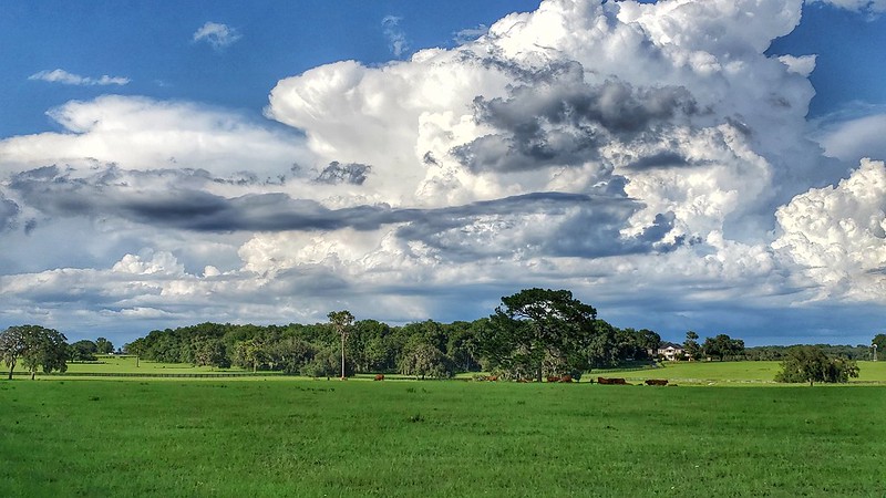 Brooksville