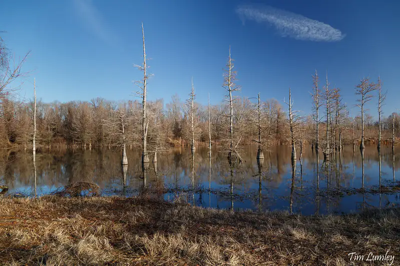 Duck River Bottoms Waverly, Tennessee