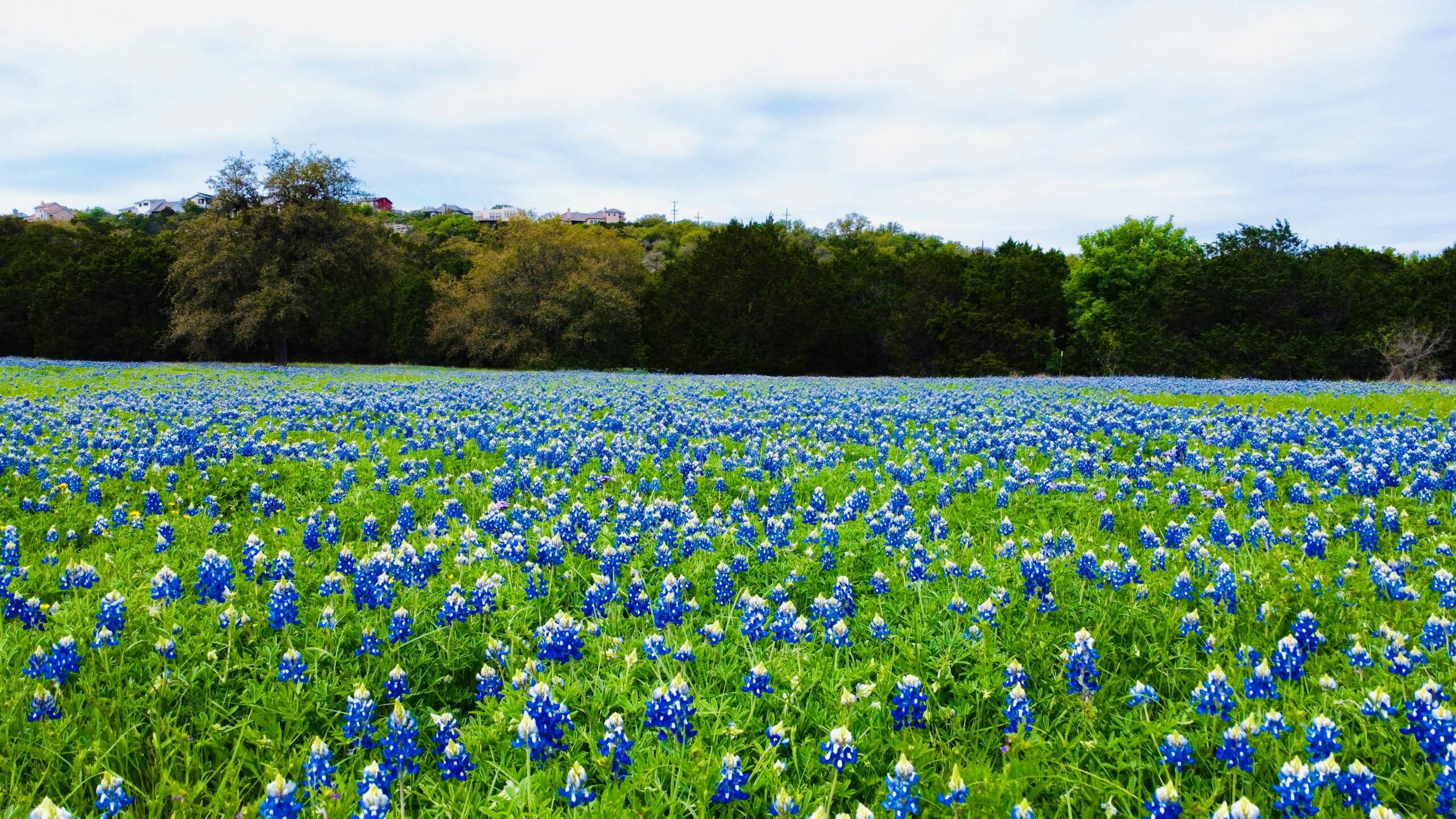 Hidden Small Towns in East Texas You’ll Adore