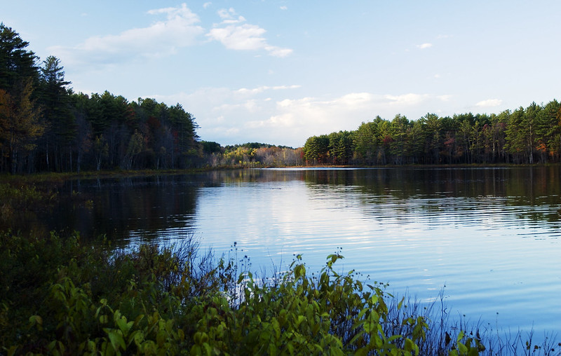 Hopkinton