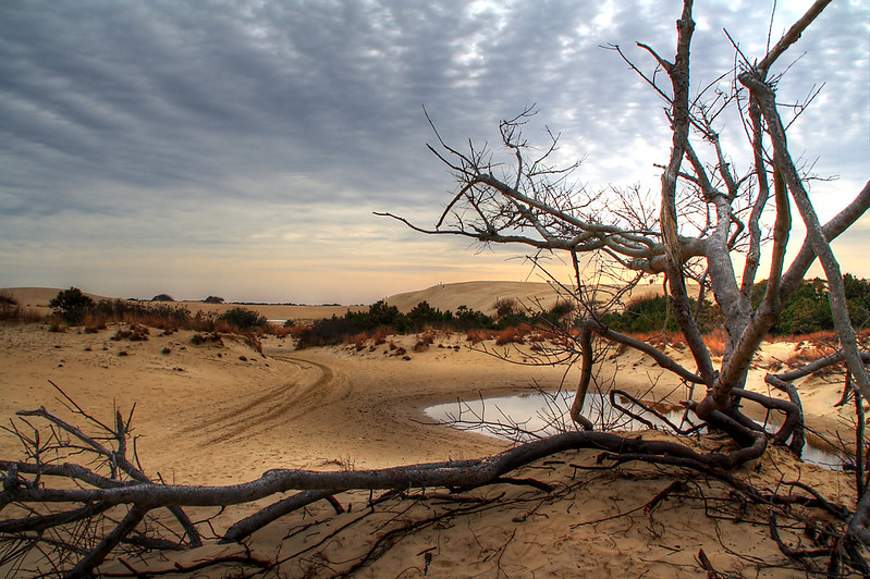 Jockey’s Ridge State Park, North Carolina