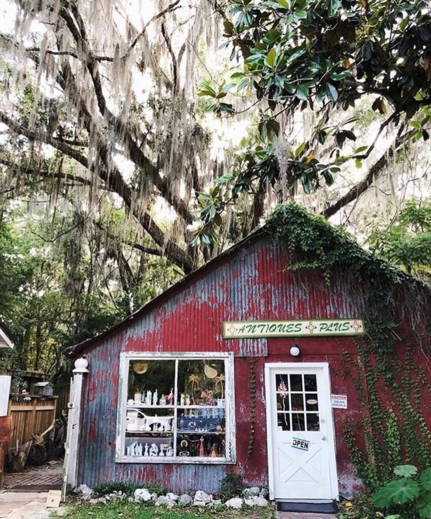 Micanopy