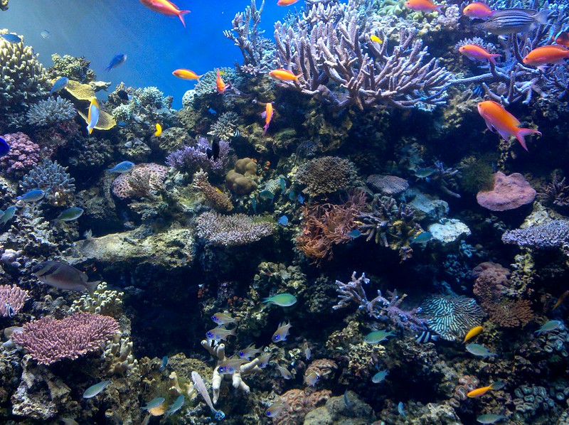 Monterey Bay Aquarium