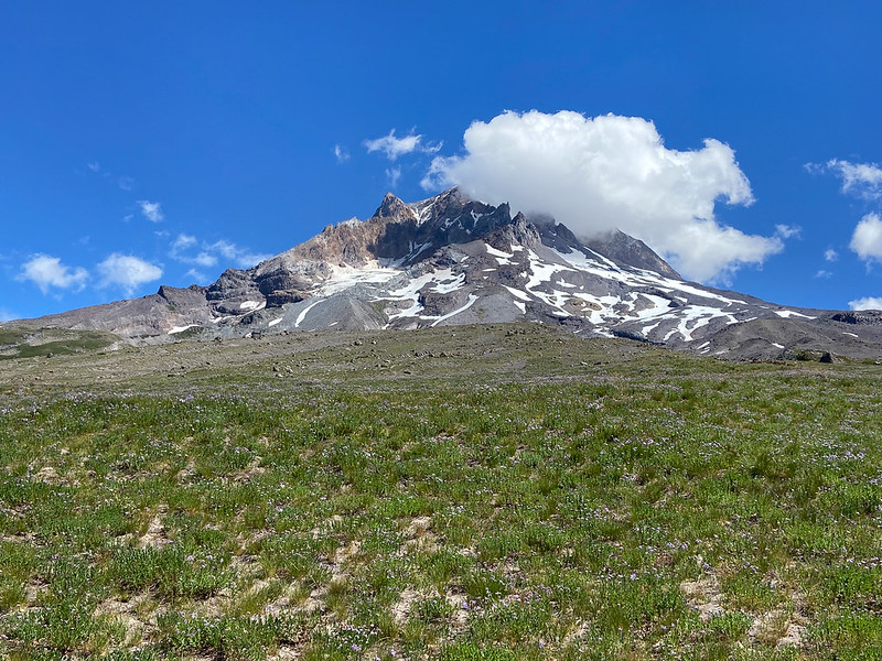 Mt. Hood National Forest