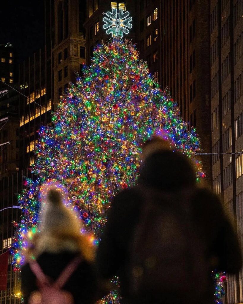 New York Christmas Couple