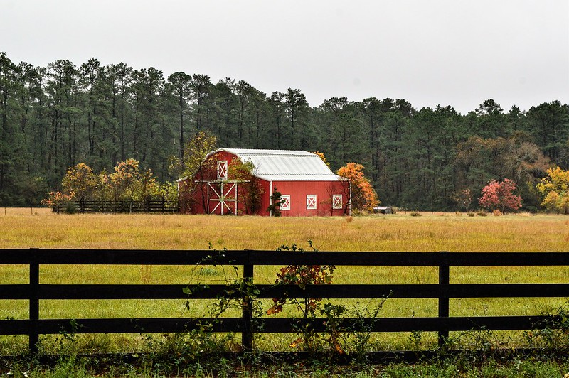 Red Barn in Fall near Huntsville, Texas