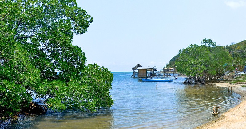 Roatan Island, Bay Islands, Honduras
