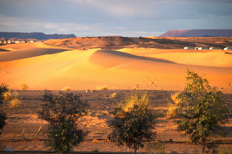 Sahara Desert