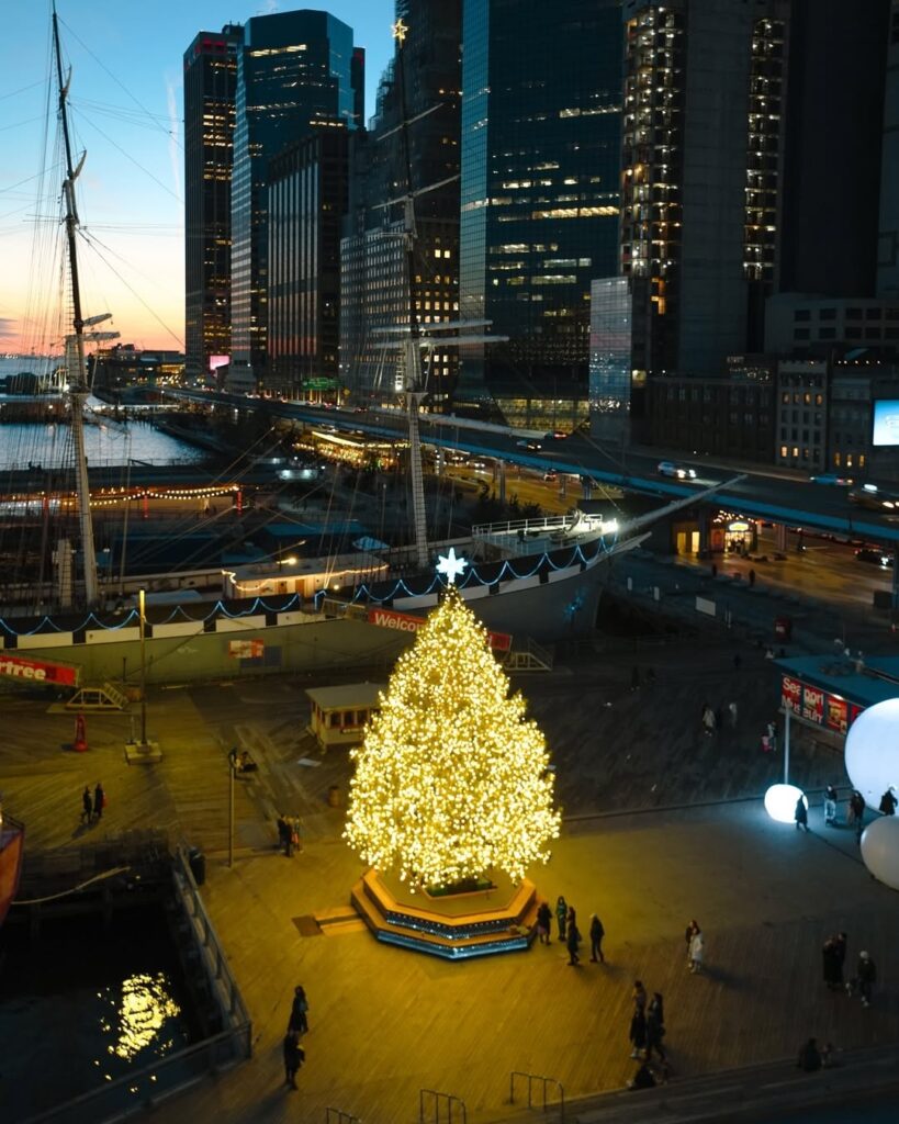 THE SEAPORT