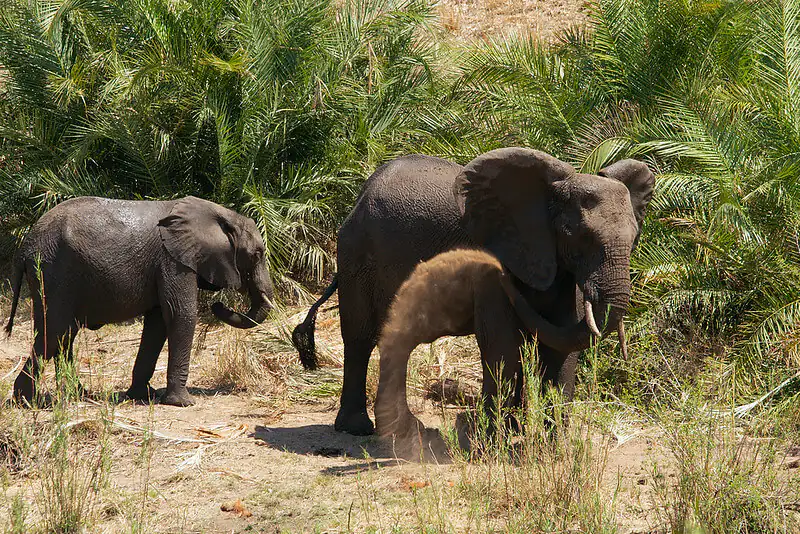 Timbavati Wildlife Park