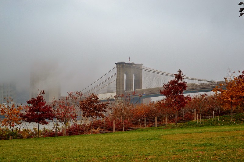 Brooklyn Bridge Park