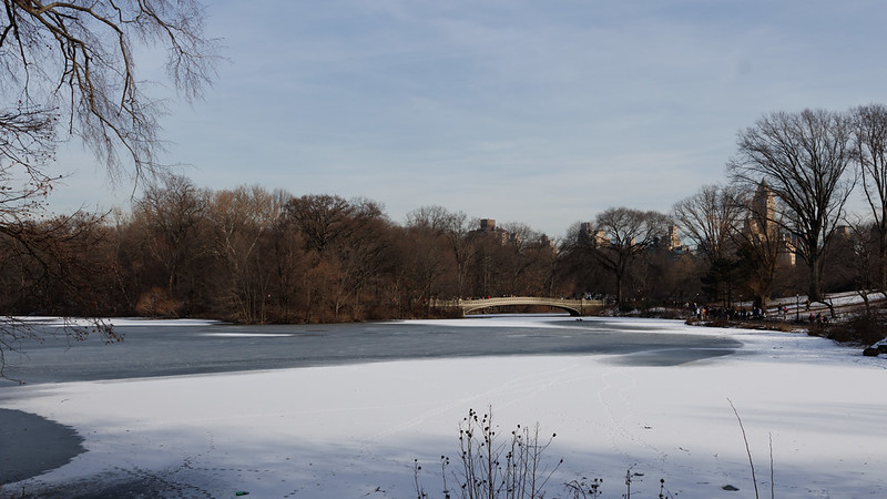 Central Park