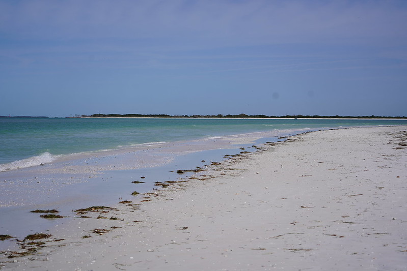 Honeymoon Island State Park, Florida