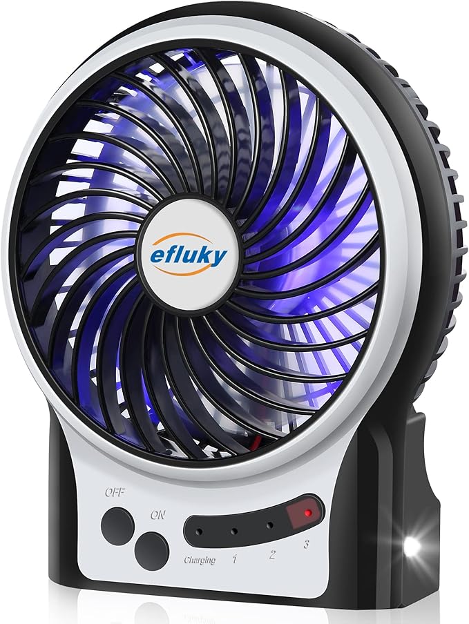Portable Fan