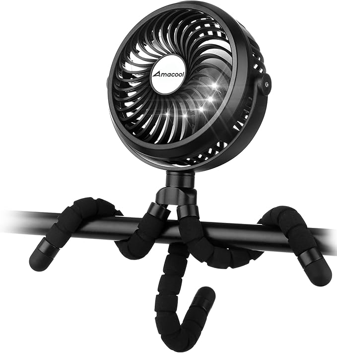 Portable Fan