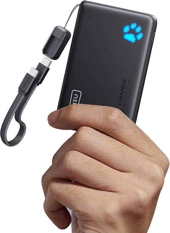 Portable charger