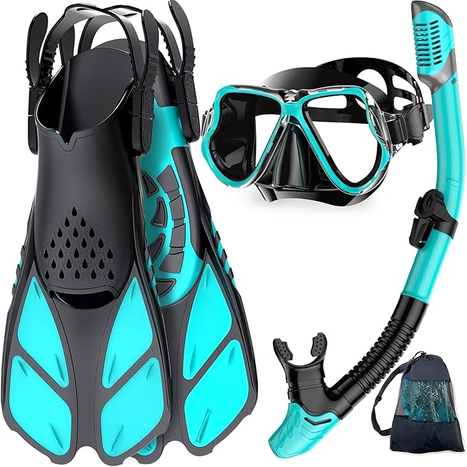 Snorkel Gear