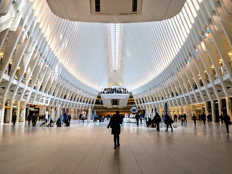 The Oculus