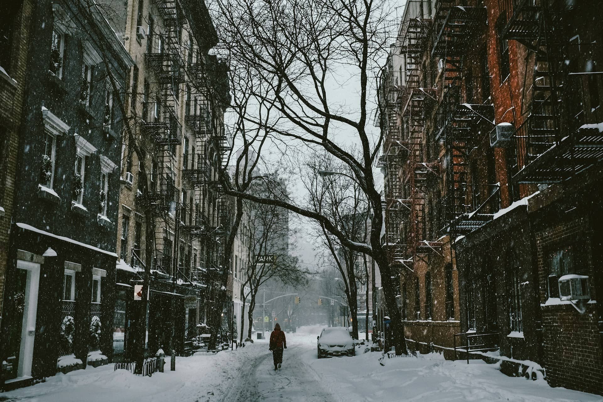 Things to Do in New York City Winter That Locals Secretly Love