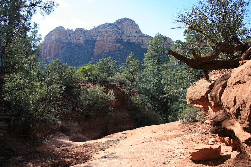 View from Soldiers Pass Trail