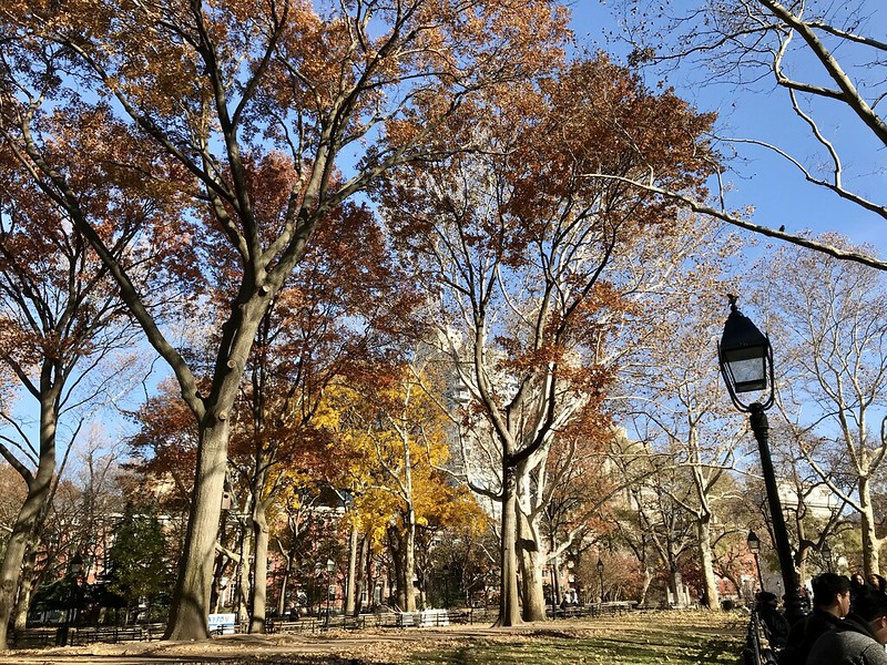 Washington Square Park