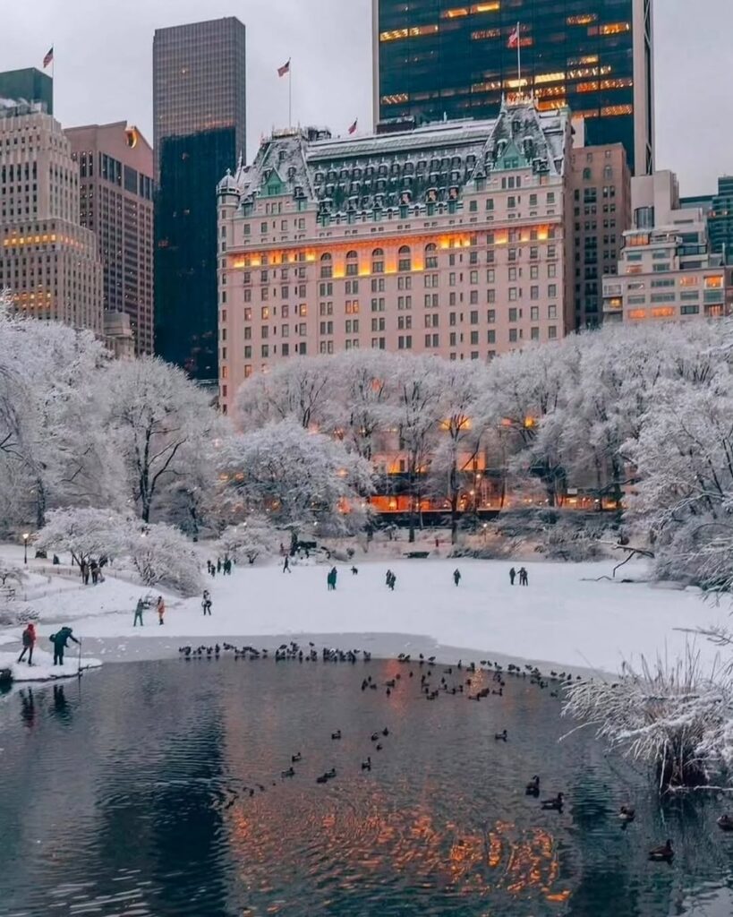 Winter in New York