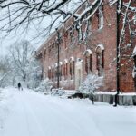 Things to Do in Helsinki Winter for First-time Visitors