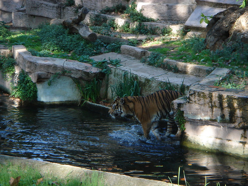 Barcelona Zoo
