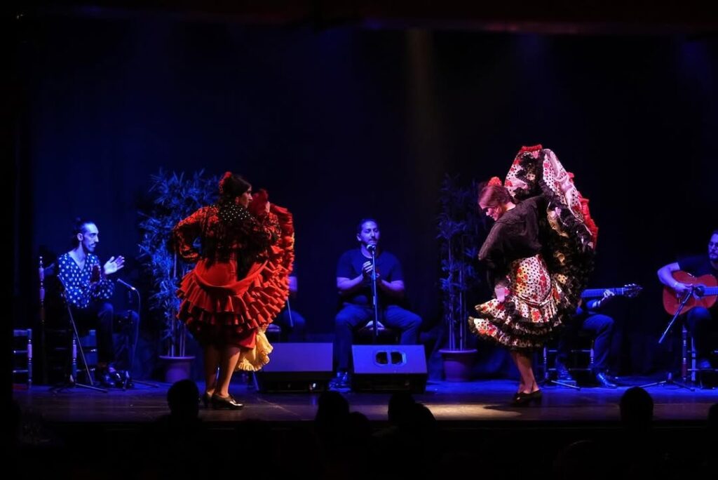 Flamenco Show