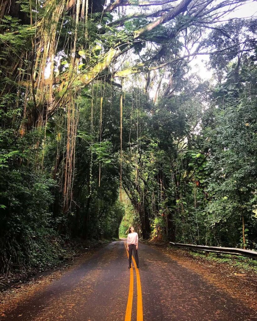Judd Trail