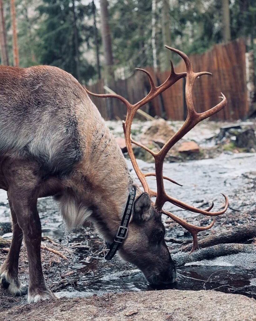 Nuuksio National Park
