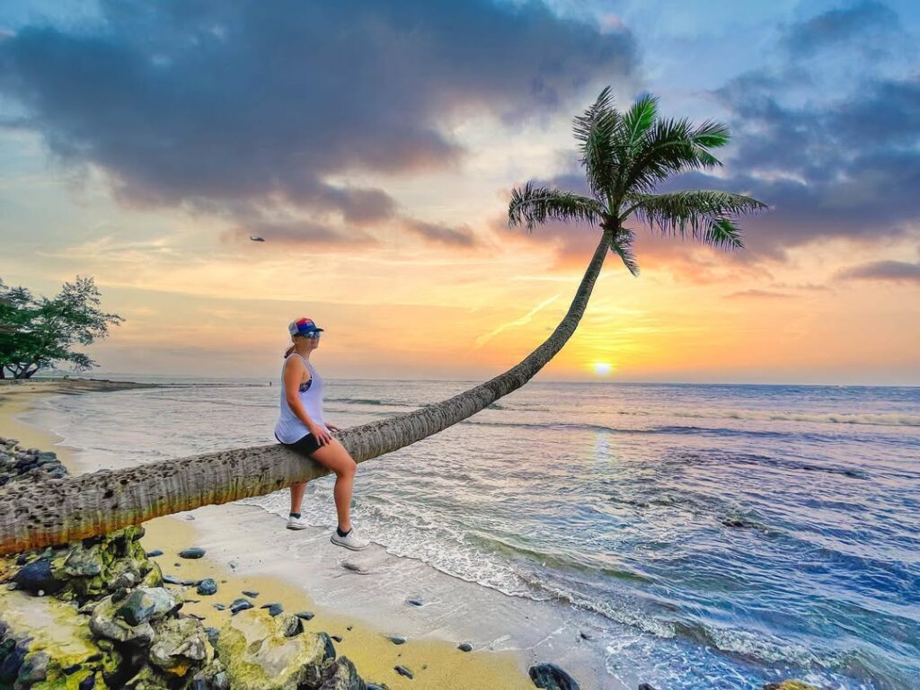 Sideways Palm Trees