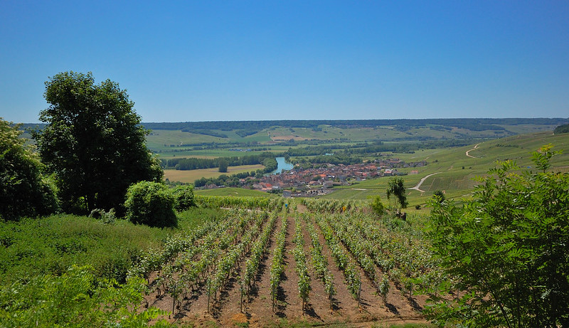 The Champagne Region