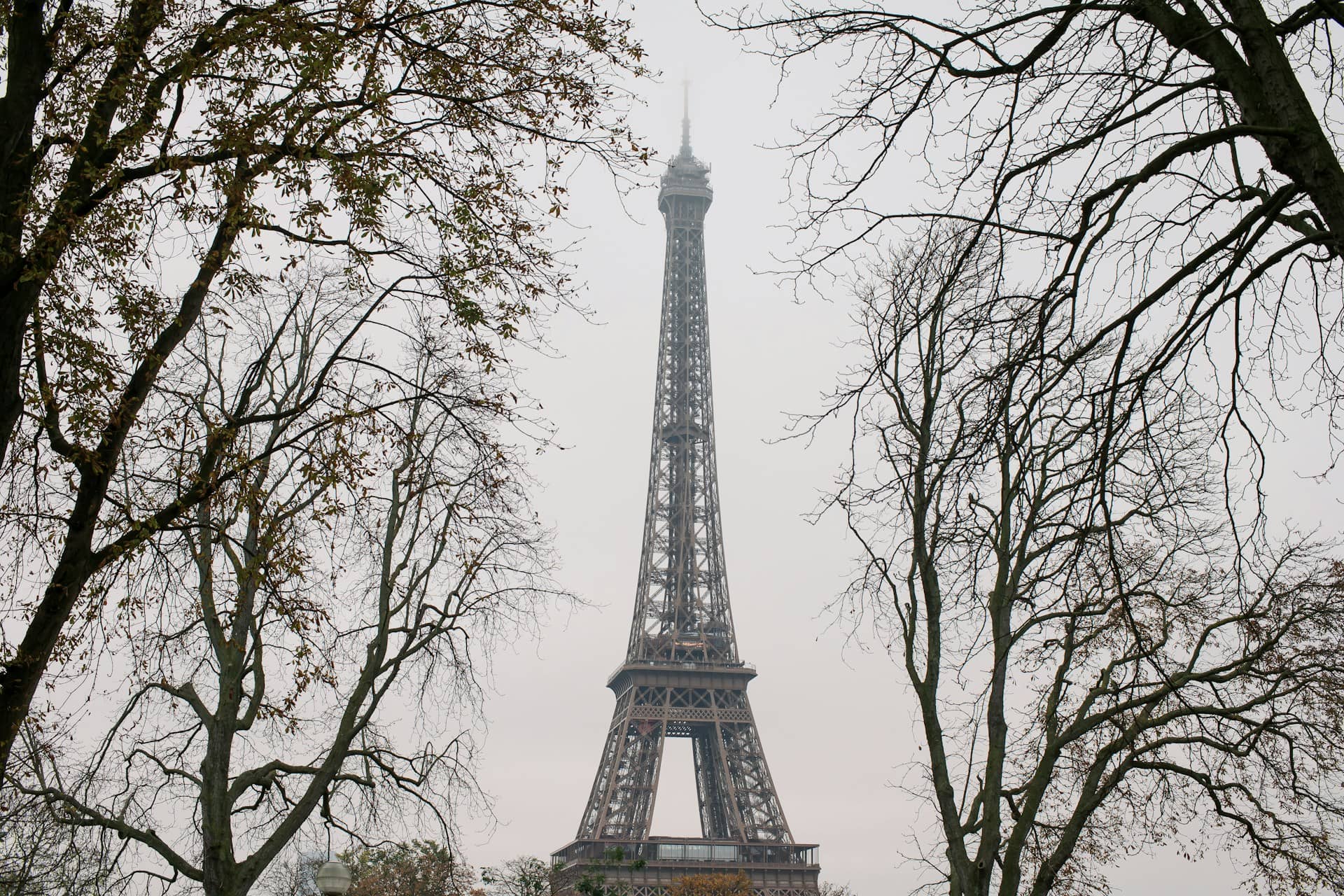 Best Things to Do in Paris in Winter Before It Gets Packed