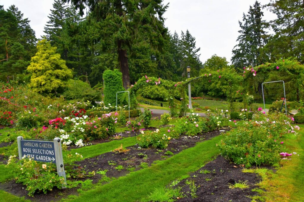 Amazing Free Things to Do in Portland, Oregon
