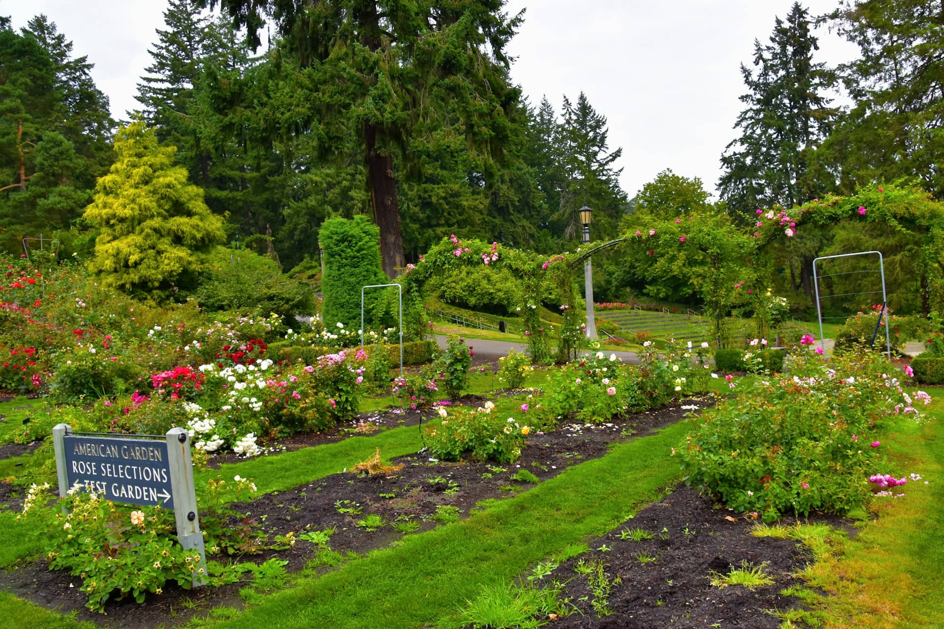 Amazing Free Things to Do in Portland, Oregon