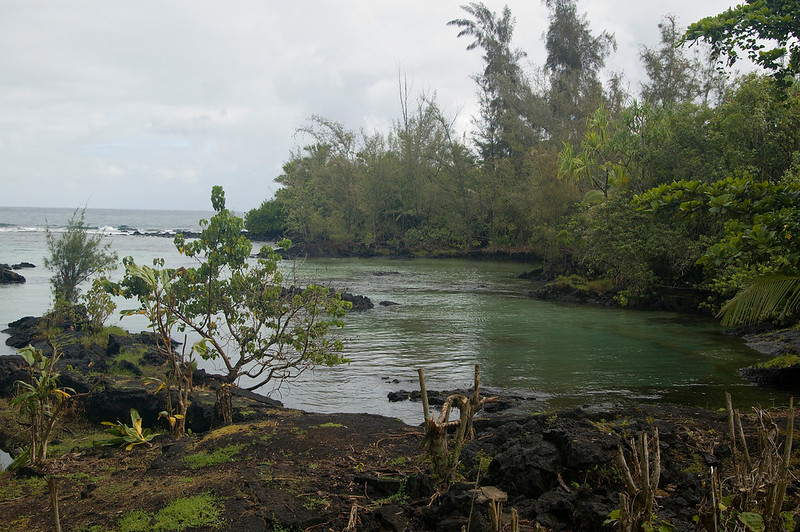 Carlsmith Beach Park