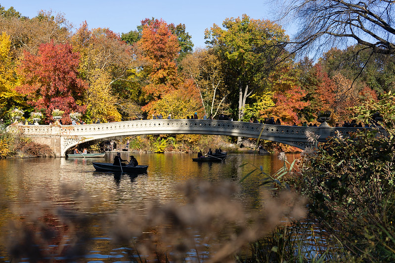 Central Park