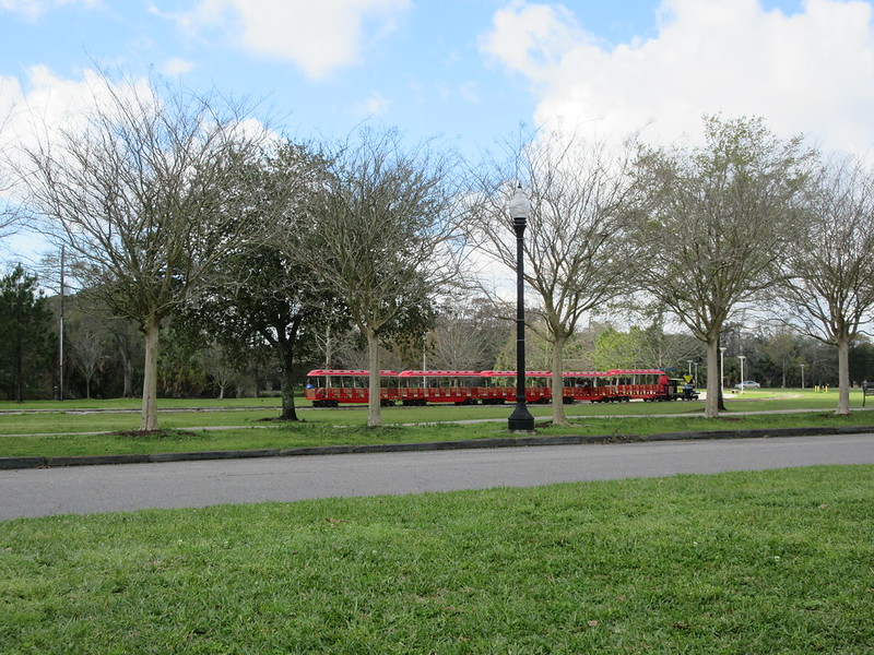 City Park
