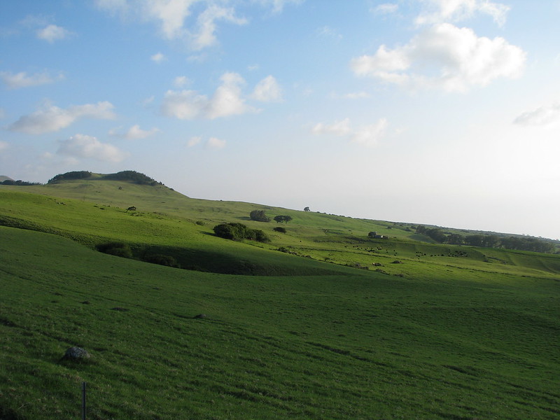 Hawi