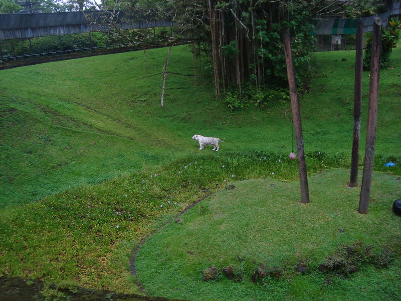 Hilo’s Rainforest Zoo and Garden