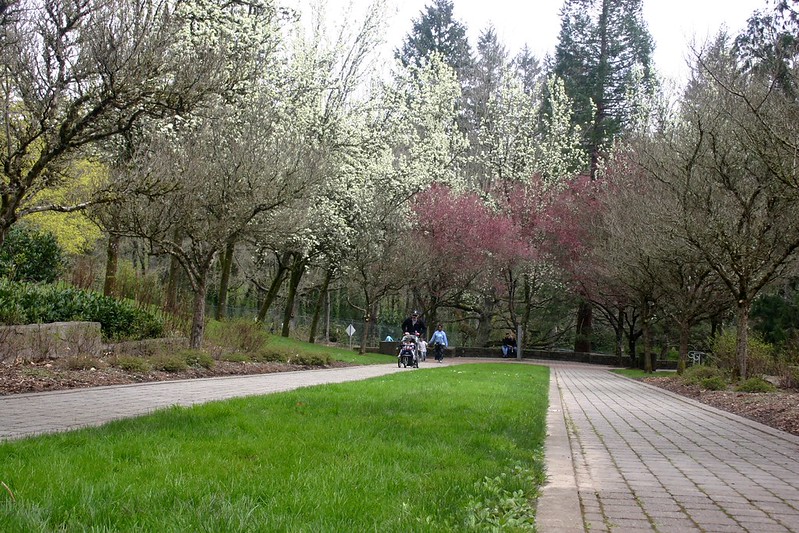 Hoyt Arboretum